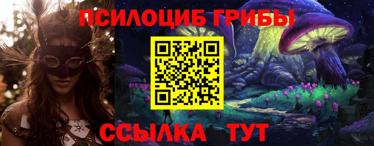 Галлюциногенные грибы Psilocybine cubensis Нурлат