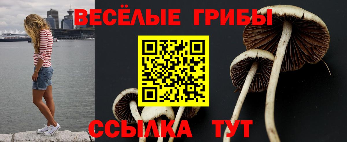 Псилоцибиновые грибы мицелий  Вход с VPN  Псилоцибиновые грибы Magic Shrooms  Нурлат 